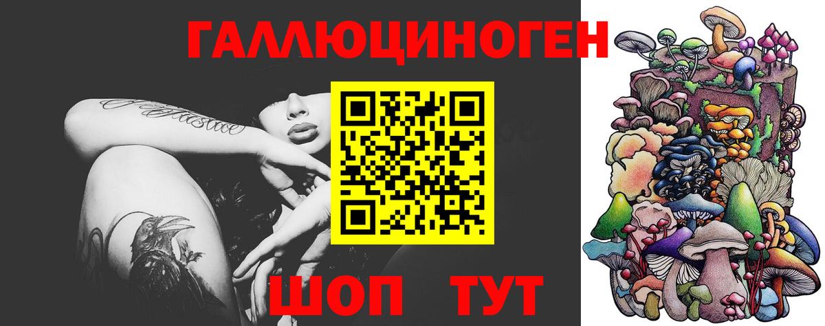 Ставрополь  Псилоцибиновые грибы GOLDEN TEACHER  Вход с VPN  Галлюциногенные грибы Psilocybine cubensis 